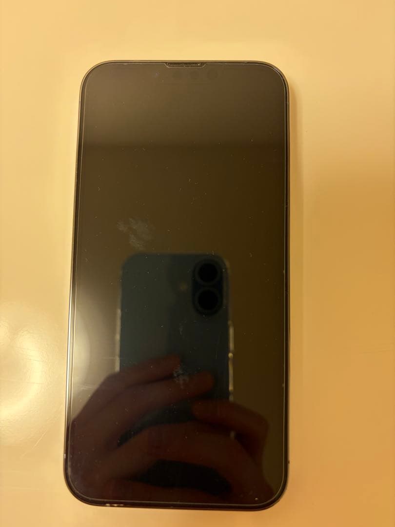 iPhone 13 Pro 256GB シエラブルー　本体ケース部品付き