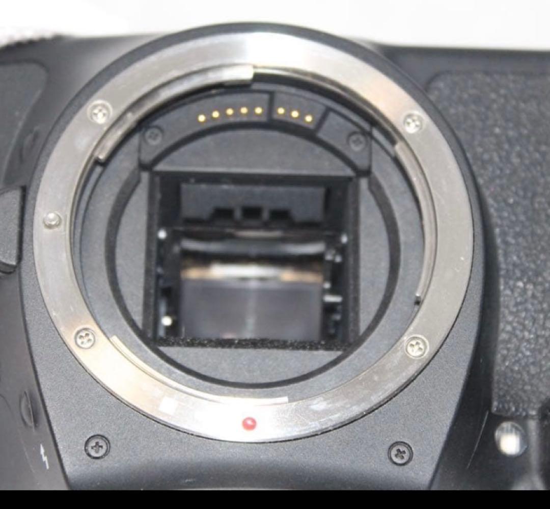 Canon EOS Kiss X5★S数少★手ぶれ補正レンズ★スマホ転送可