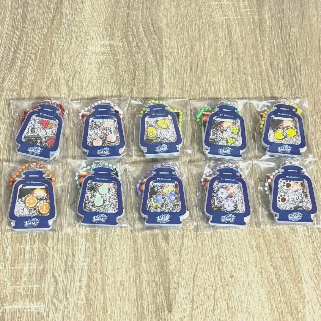 LAMPキーホルダー 箱館山 10種類コンプ 琵琶湖キーホルダー ZOOM