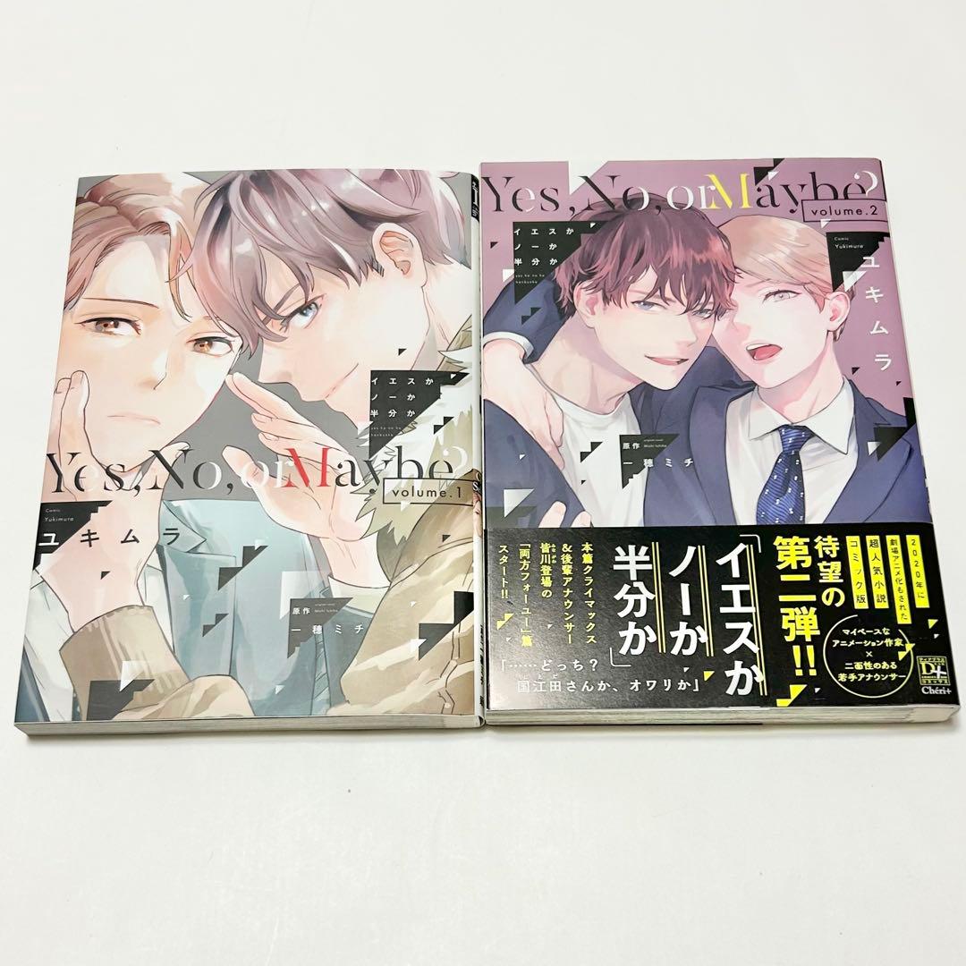 【送料込み】《13冊セット》イエスかノーか半分か 小説 漫画 一穂ミチ ユキムラ