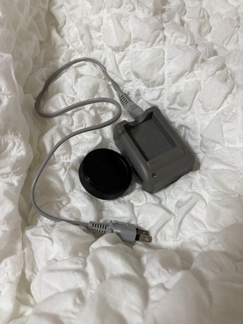 【最終価格】OLYMPUS オリンパス PEN E-PL10 ミラーレス一眼