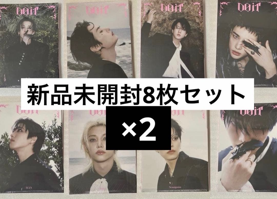 straykids do it accordion アルバム　16枚　スキズ straykids do it accordion アルバム 16枚 スキズ Stray Kids - SKZ IT