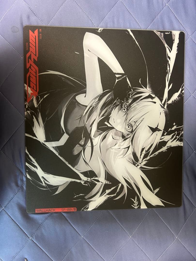Wallhack SP-004 Frenzy Sora 0721番