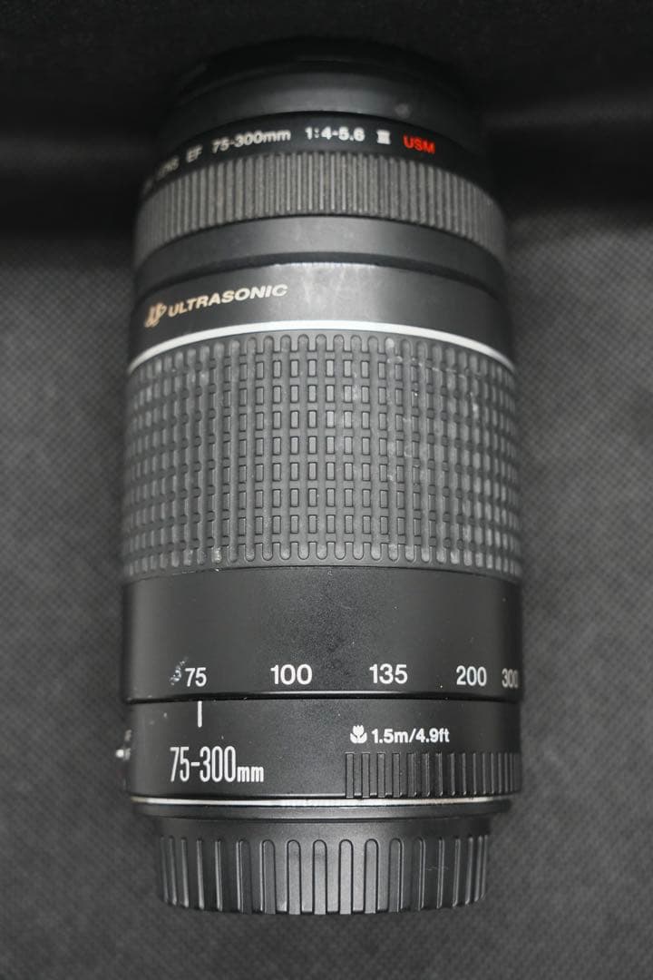 レンズ(ズーム) Canon EF75-300mm F4-5.6 III USM