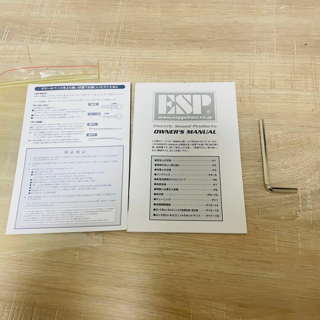 グラスルーツ GR-FV-32 スピーカー内蔵 エレキギターフライングV 希少