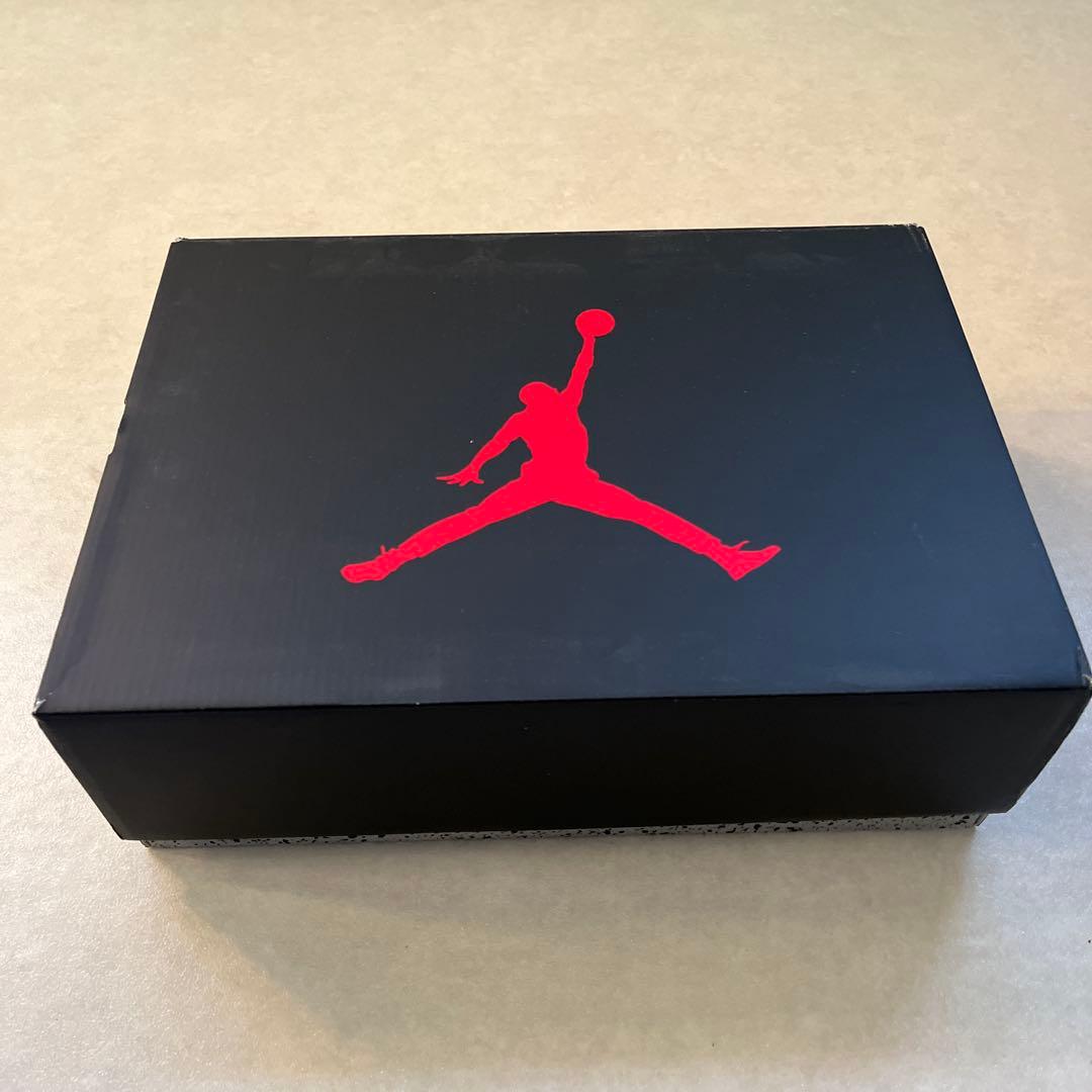 Air Jordan 6 \"Carmine\" (2021) カーマイン