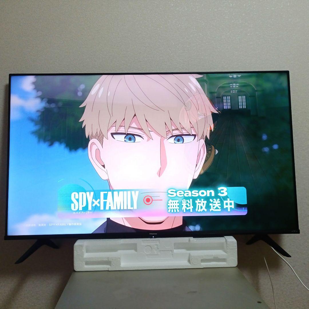 Hisense[2022年製品]50E6G