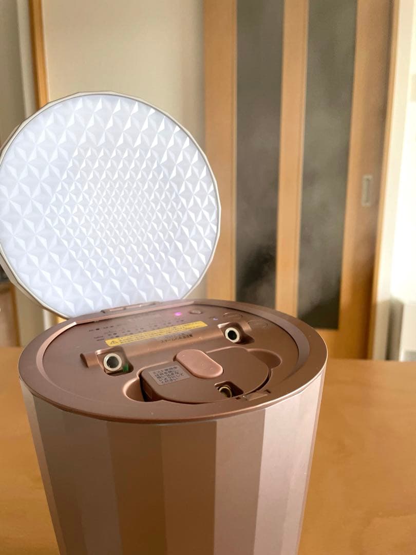 【美品】YA-MAN LEDスチーム美顔器　フォトスチーマー