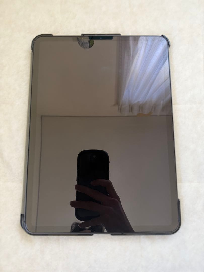 ipad pro 11インチ　第一世代　256gb simフリー