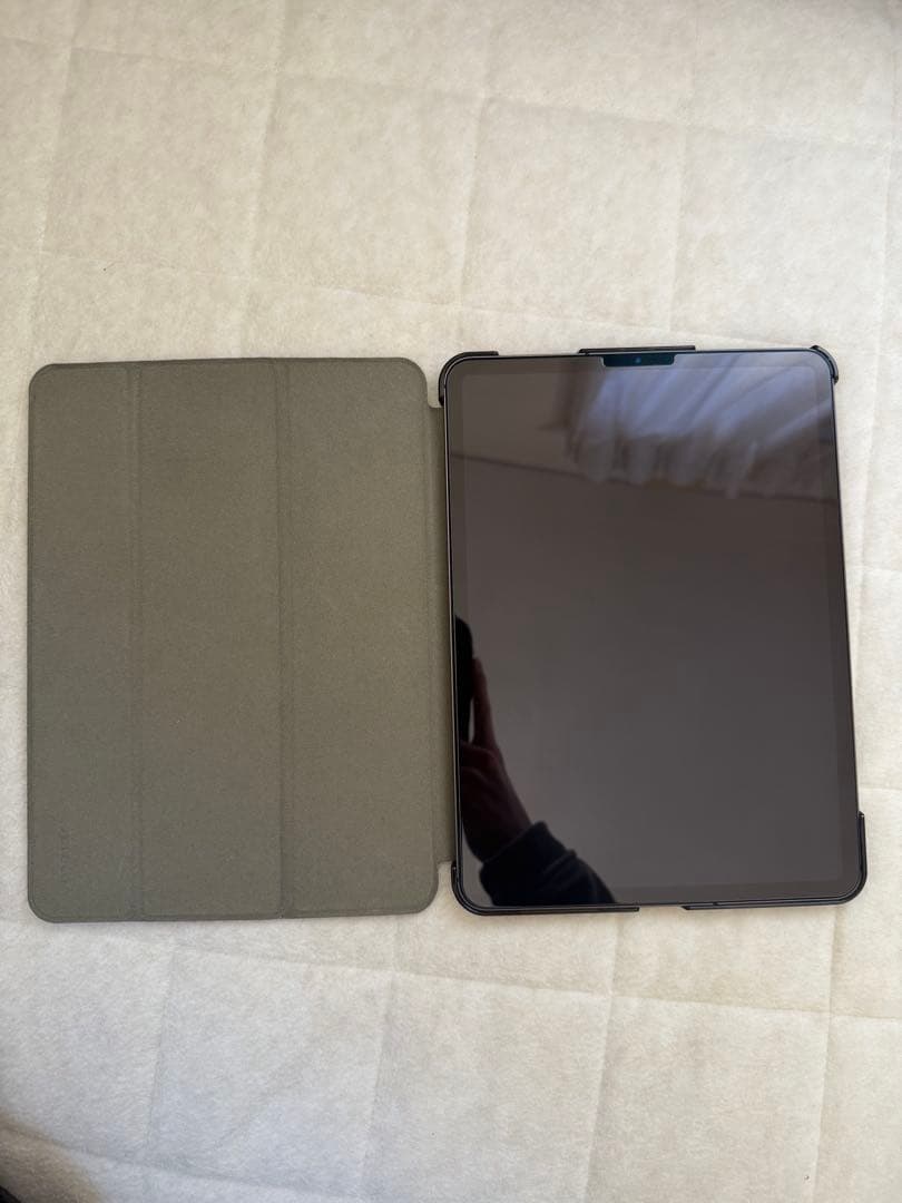 ipad pro 11インチ　第一世代　256gb simフリー