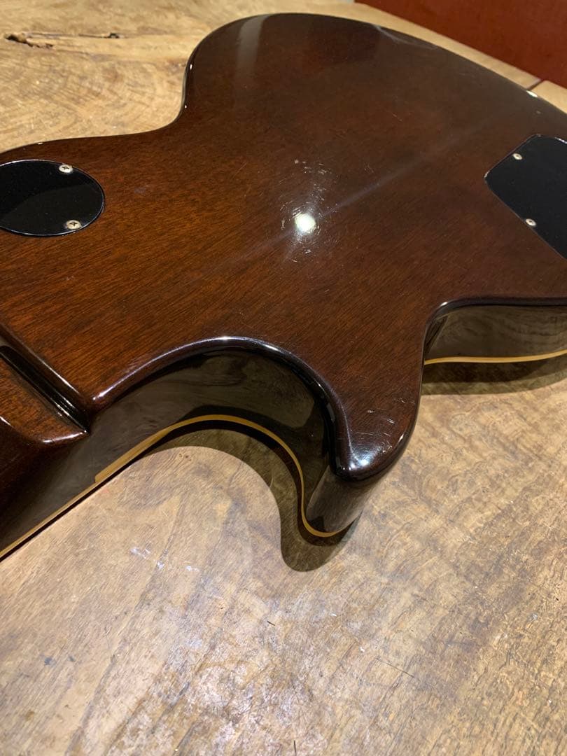 tokai ls 60 MOD 1981 黄金期 バーズアイ