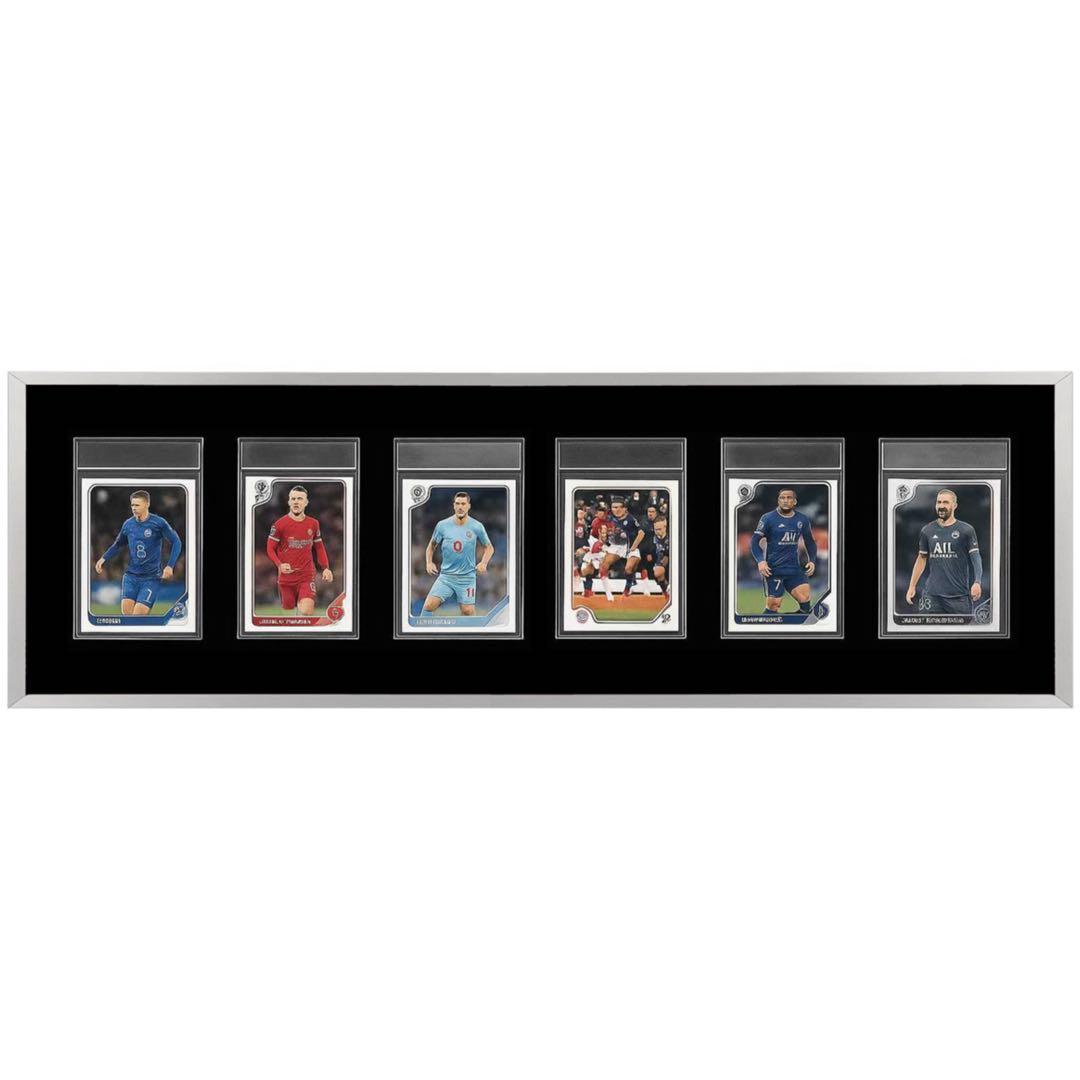 PSA鑑定用ケース　ディスプレイケース　アルミ製　両面透明　壁掛け・卓上 横6連 楽天市場】heizi PSAポケモンカード ディスプレイケース 壁掛け