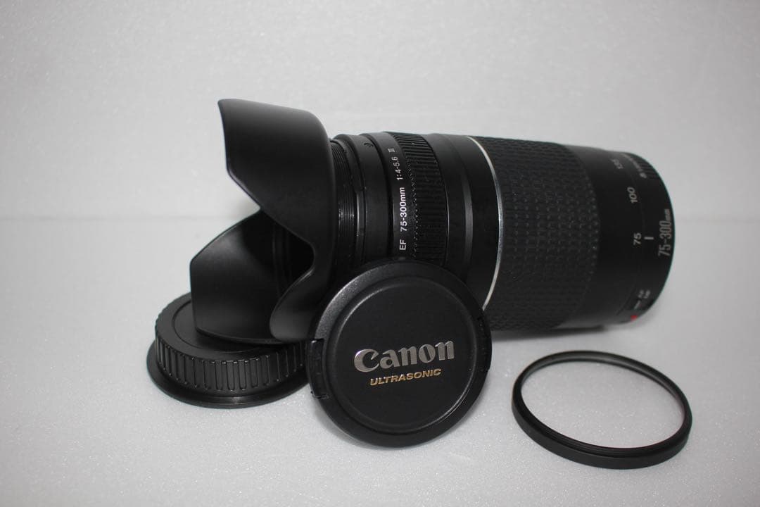 CANON ZOOM LENS EF 75-300㎜1:4-5.6Ⅲ