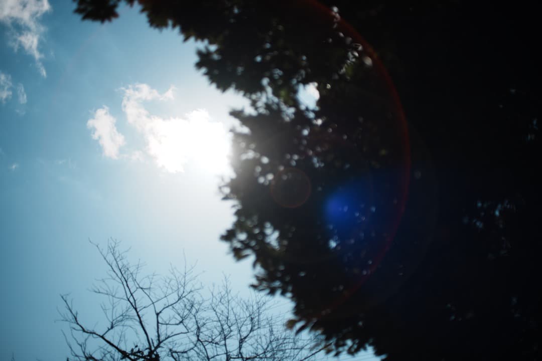 【極美品】動作◎ オリンパス Zuiko Auto-s 40mm F2 728