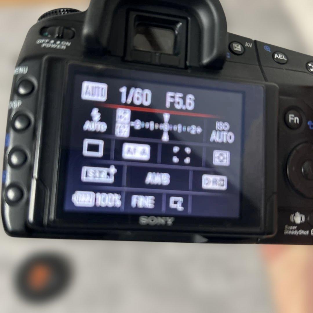 SONY α350/DT 3.5-5.6/18-70mm