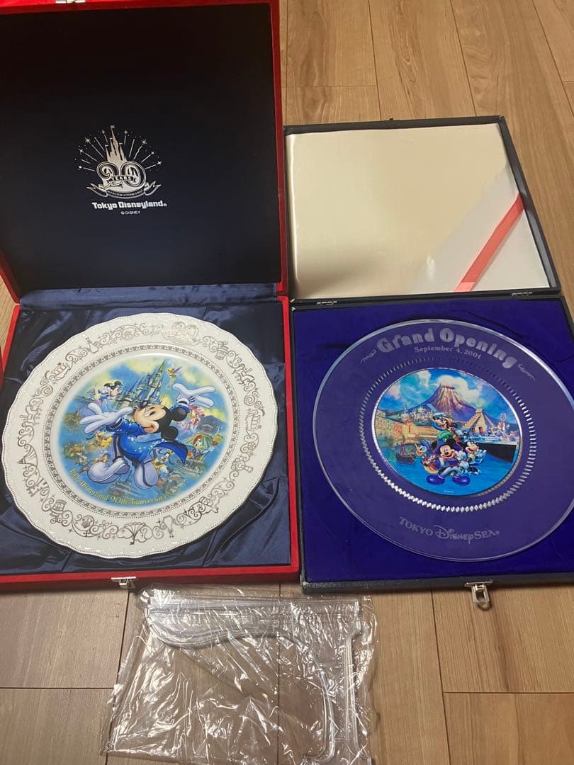 東京ディズニーシーグランドオープニング プレート皿　ランド20周年記念 DISNEY (ディズニー) ディズニーグッズ 東京ディズニーランドグランド