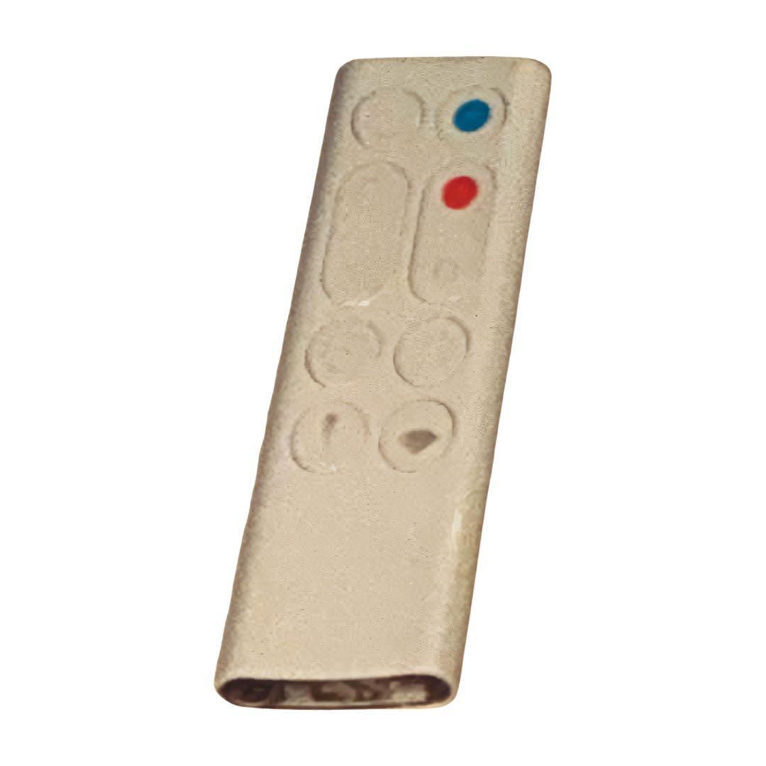 Dyson AM09 Hot+Cool ファンヒーター( リモコン付き)