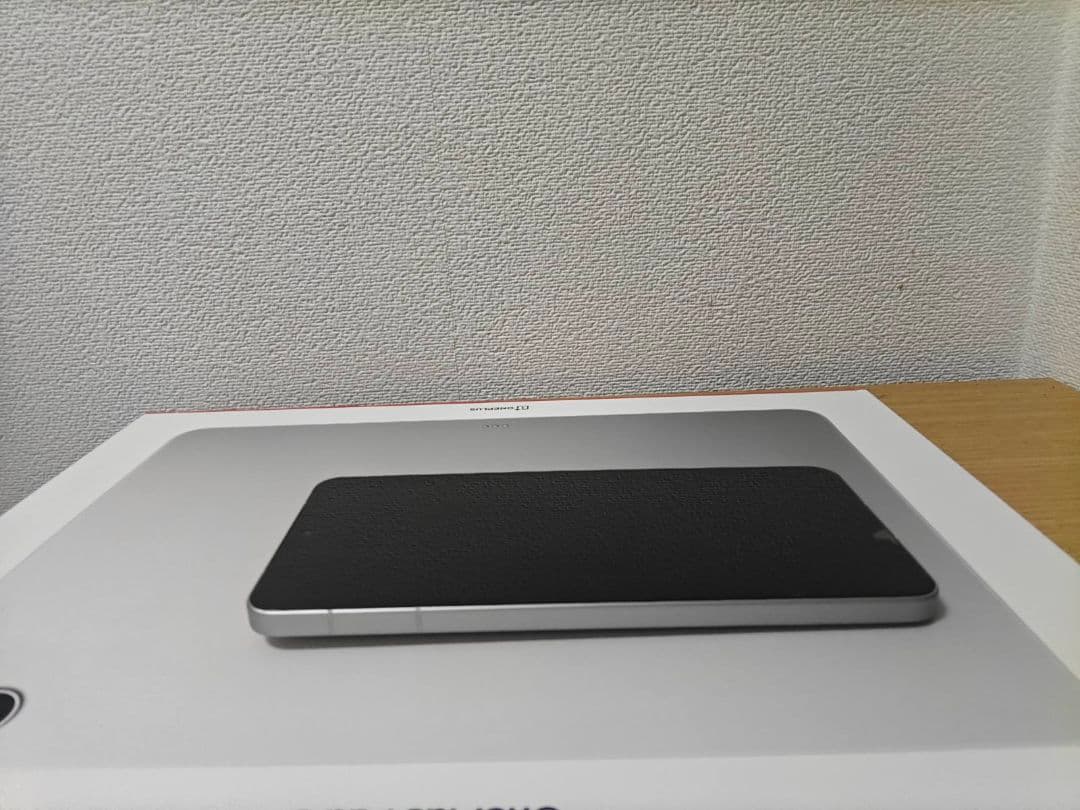 iQOO 13 12GB/256GB シルバー 中国版 美品