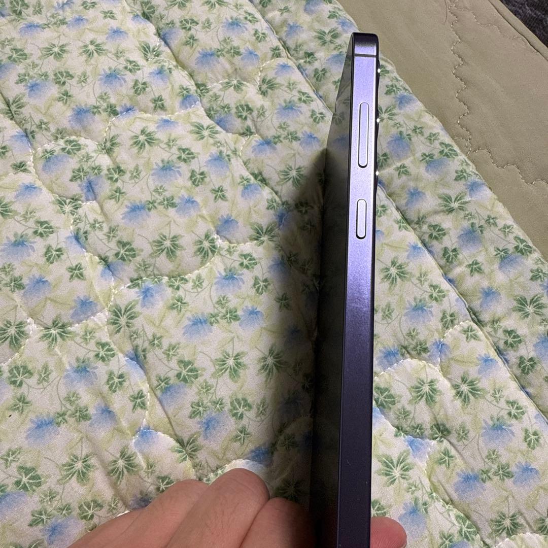 A*e様 [希少]Galaxy S24+ 256GB SIMフリー美品！