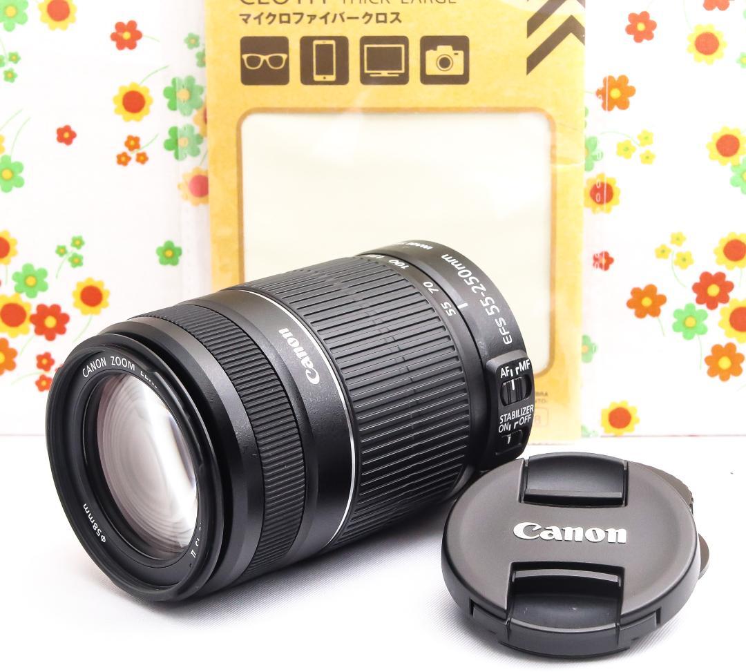 キャノン Canon EF-S 55-250mm IS II☆遠くの笑顔くっきり