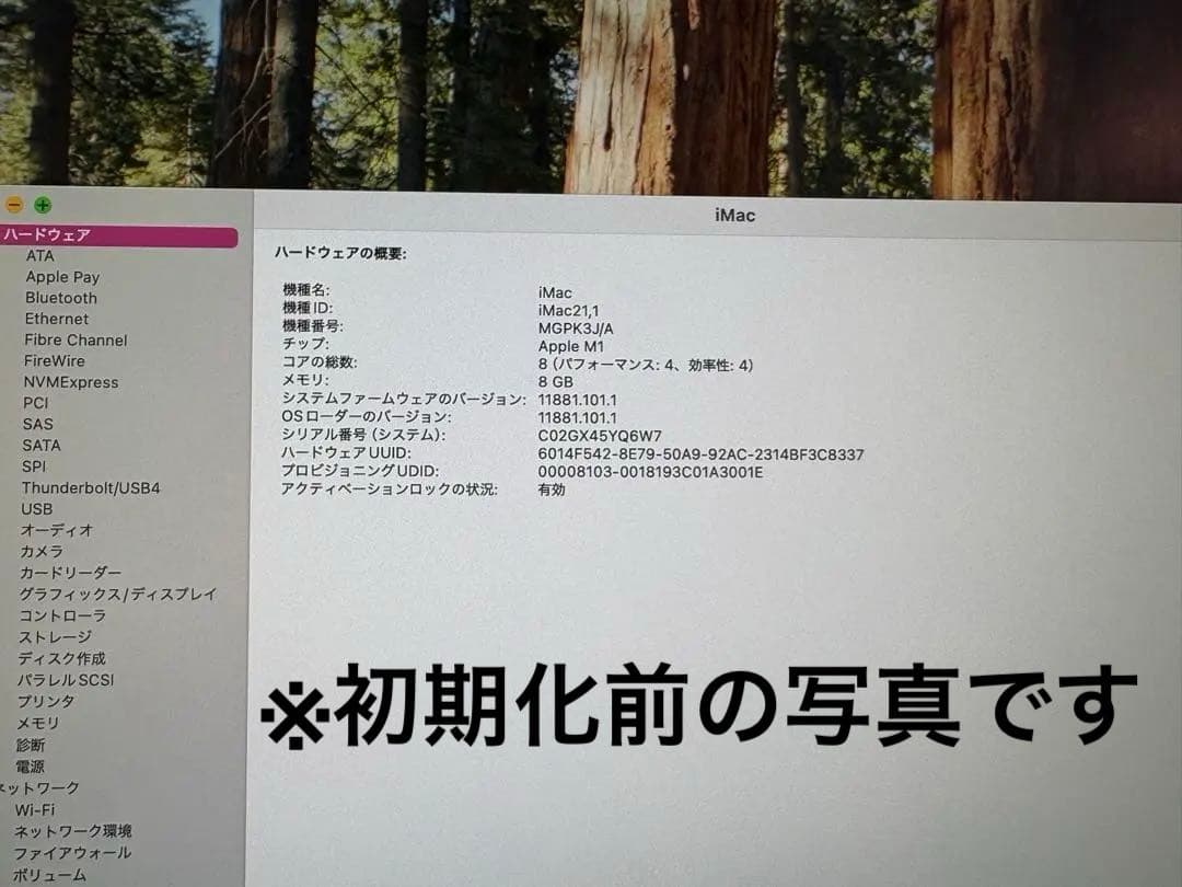 iMac 2021 24インチMGPK3J/A ブルー
