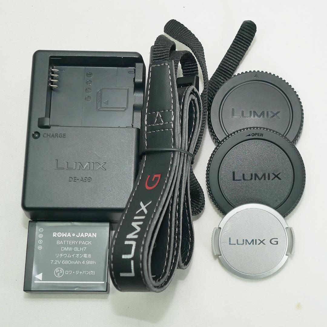 Panasonic Lumix DMC-GM1レンズキット