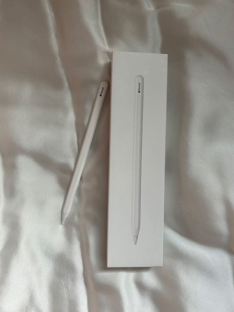 iPad Pro12.9 第3世代 256GB Wi-Fiモデル　アップルペン付