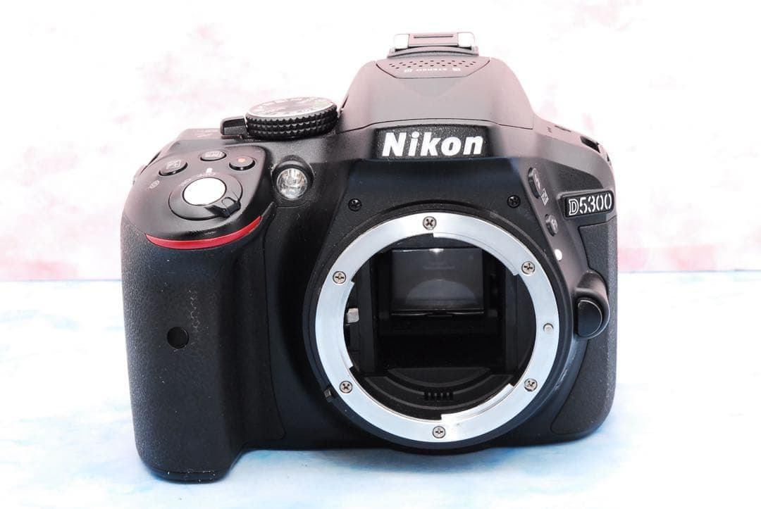 Nikon D5300★Wi-Fi搭載★一眼レフカメラ★手ぶれ補正Wレンズ