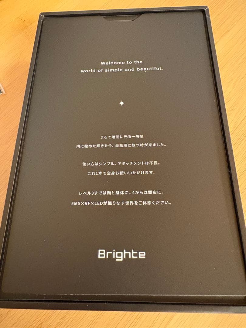 【美品】ブライトエレキブラシ ブラシ