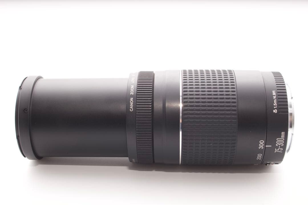 美品❣️Canon EF 75-300mm Ⅲ✨超望遠レンズ　運動会　風景