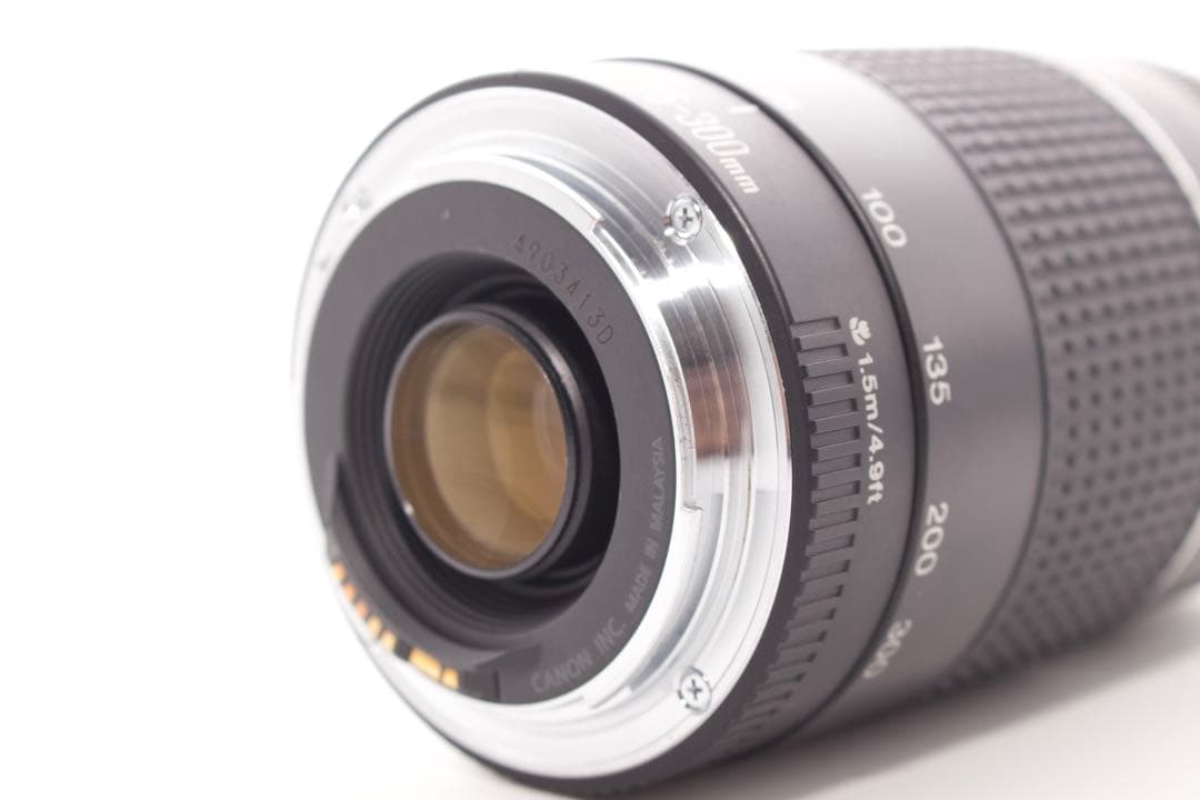 美品❣️Canon EF 75-300mm Ⅲ✨超望遠レンズ　運動会　風景