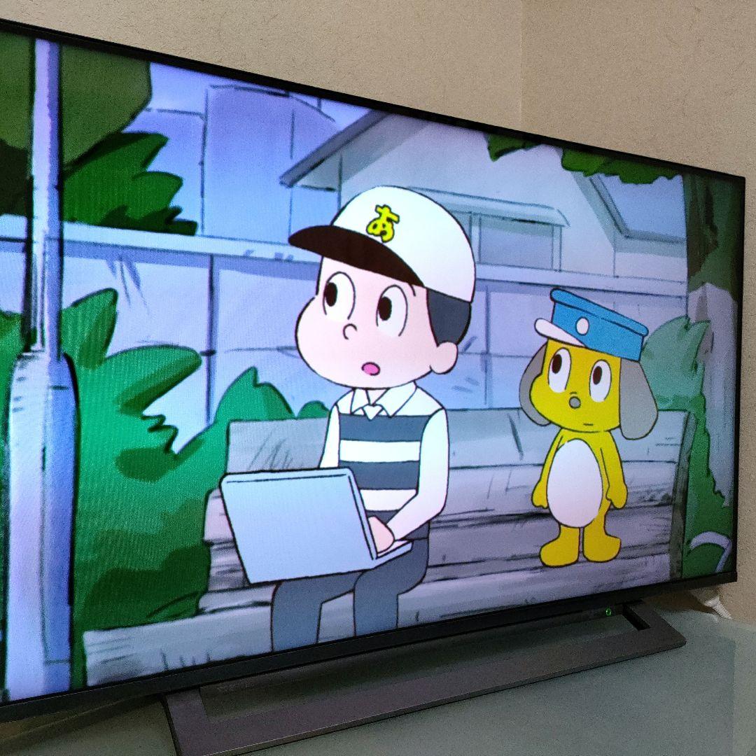 TOSHIBA[2019年製品]43M530X