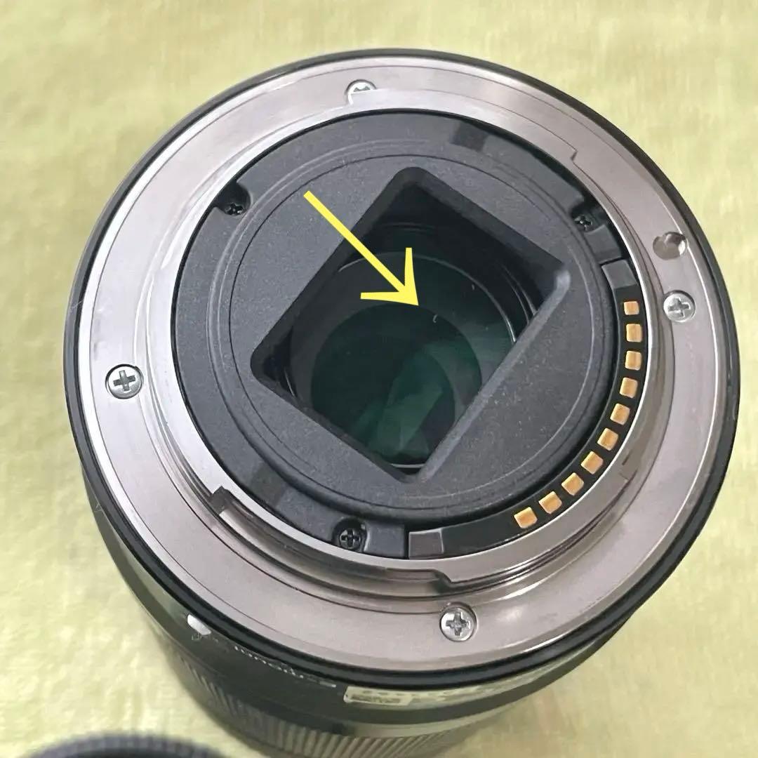 変更！SONY SEL 55-210mmズーム オマケ付き ⚠️後玉チリあり