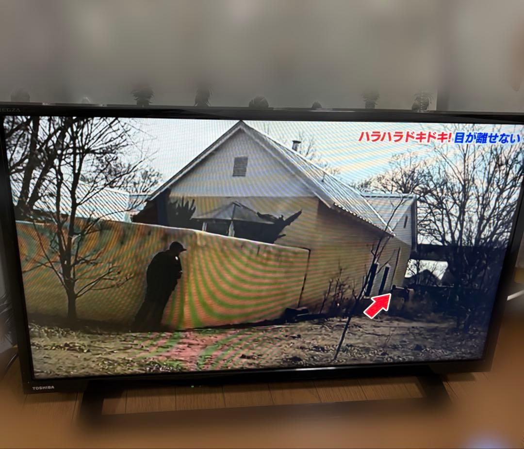 TOSHIBA REGZA 液晶テレビ 32S22