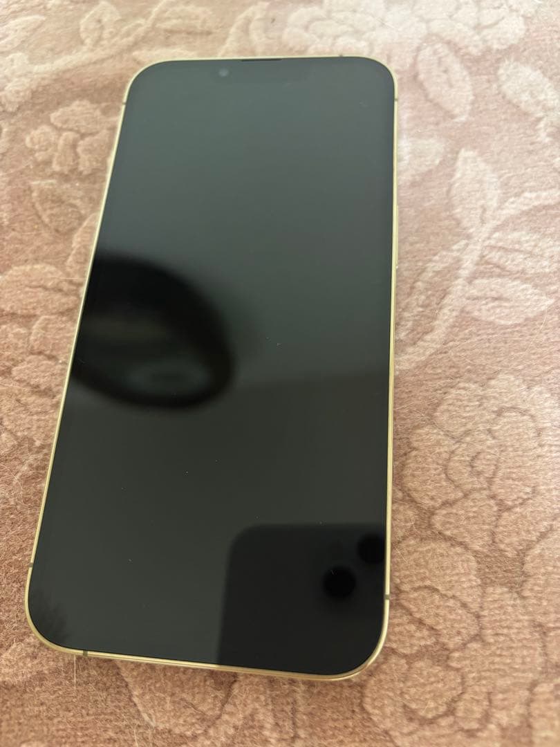 Bray　Apple iPhone 13 Pro 256GB ゴールド