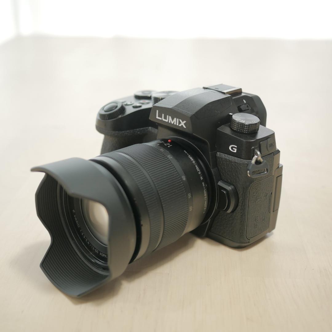 中古美品 LUMIX G99D レンズセット G VARIO 12-60mm