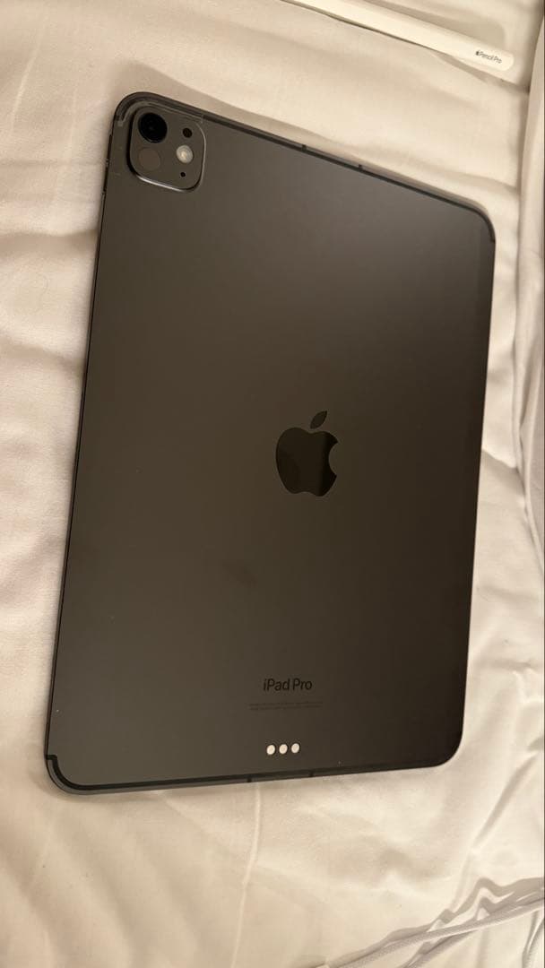 iPadPro 11 M4 256GB(Cellularモデル) アクセサリ付き