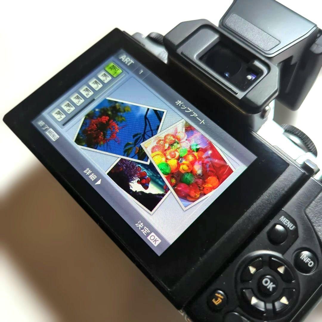 OLYMPUS OM-D E-M5 ショット数26831枚