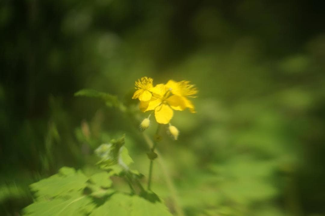 珍品！ Carl Zeiss Tessar 50mm F2.8 M39