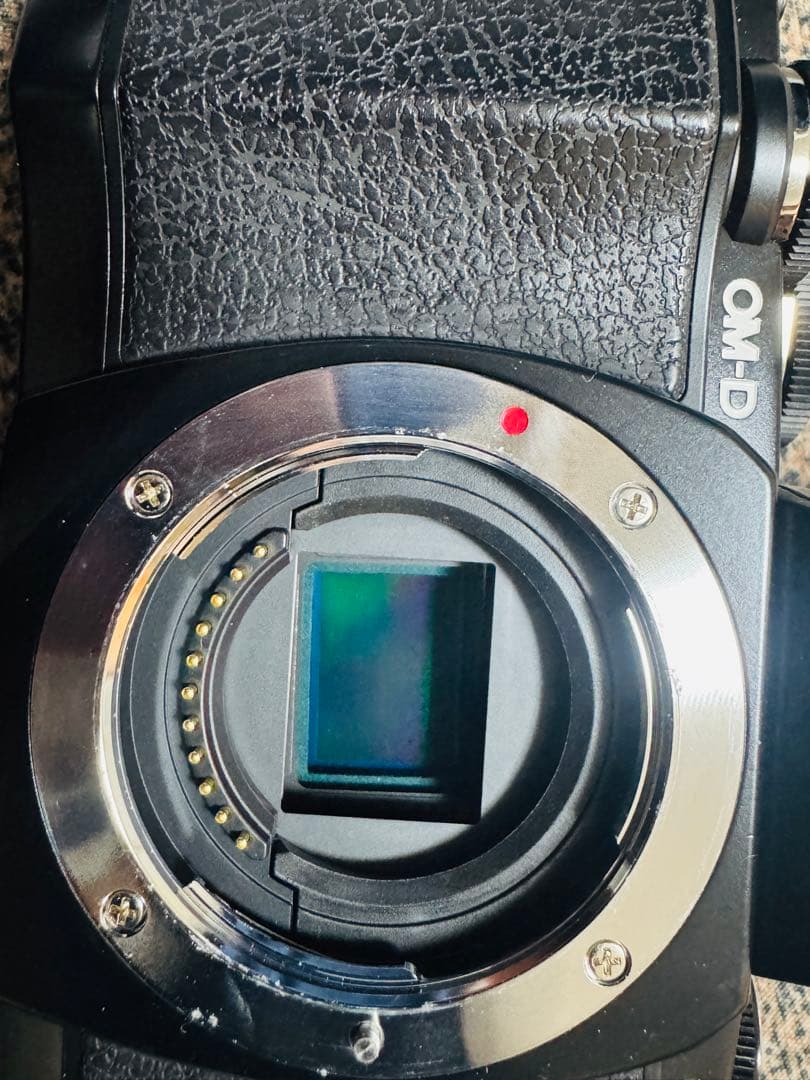 Olympus ミラーレス一眼カメラ 交換レンズ付き