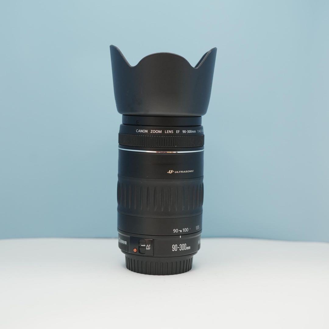 Canon純正 90-300mm 望遠レンズ a3774