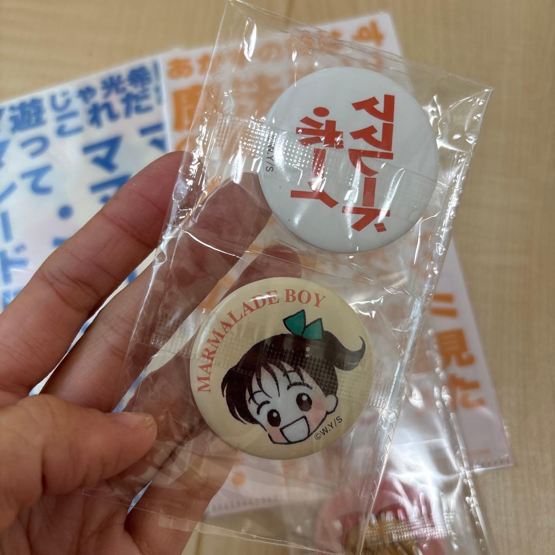 マーマレードボーイ 姫ちゃんのリボン 缶バッジ ファイル セット