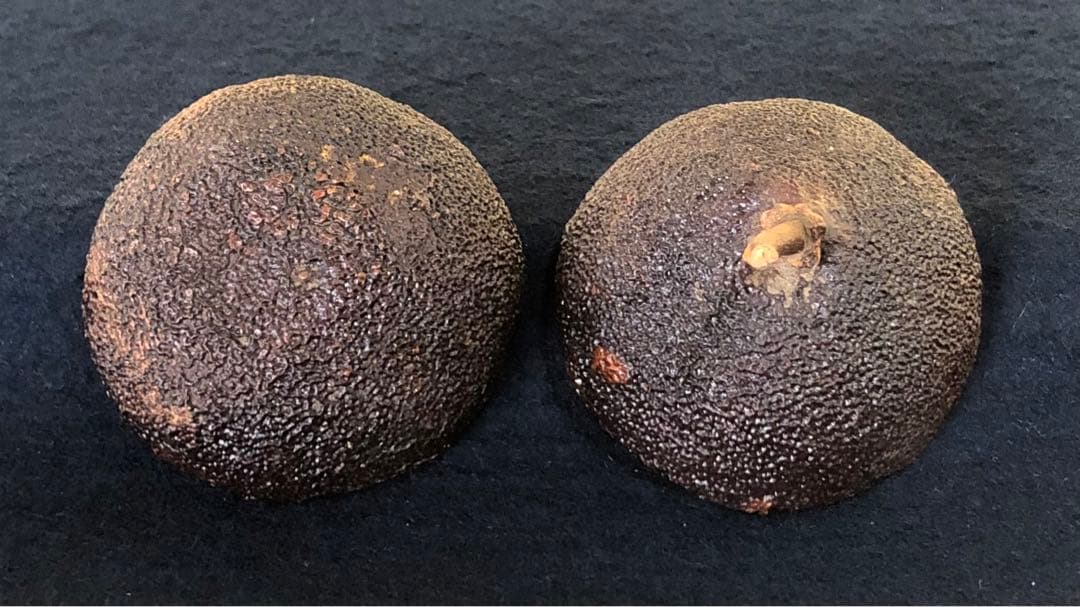 《R》茶道具 橙香合 池之浦大起作 共箱　260209け1