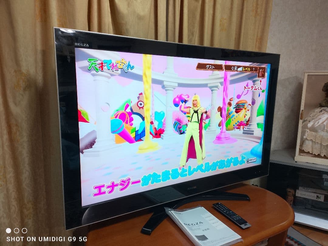 東芝　55インチ　液晶テレビ　2K HD 動作品　2009年式　愛知県豊田市