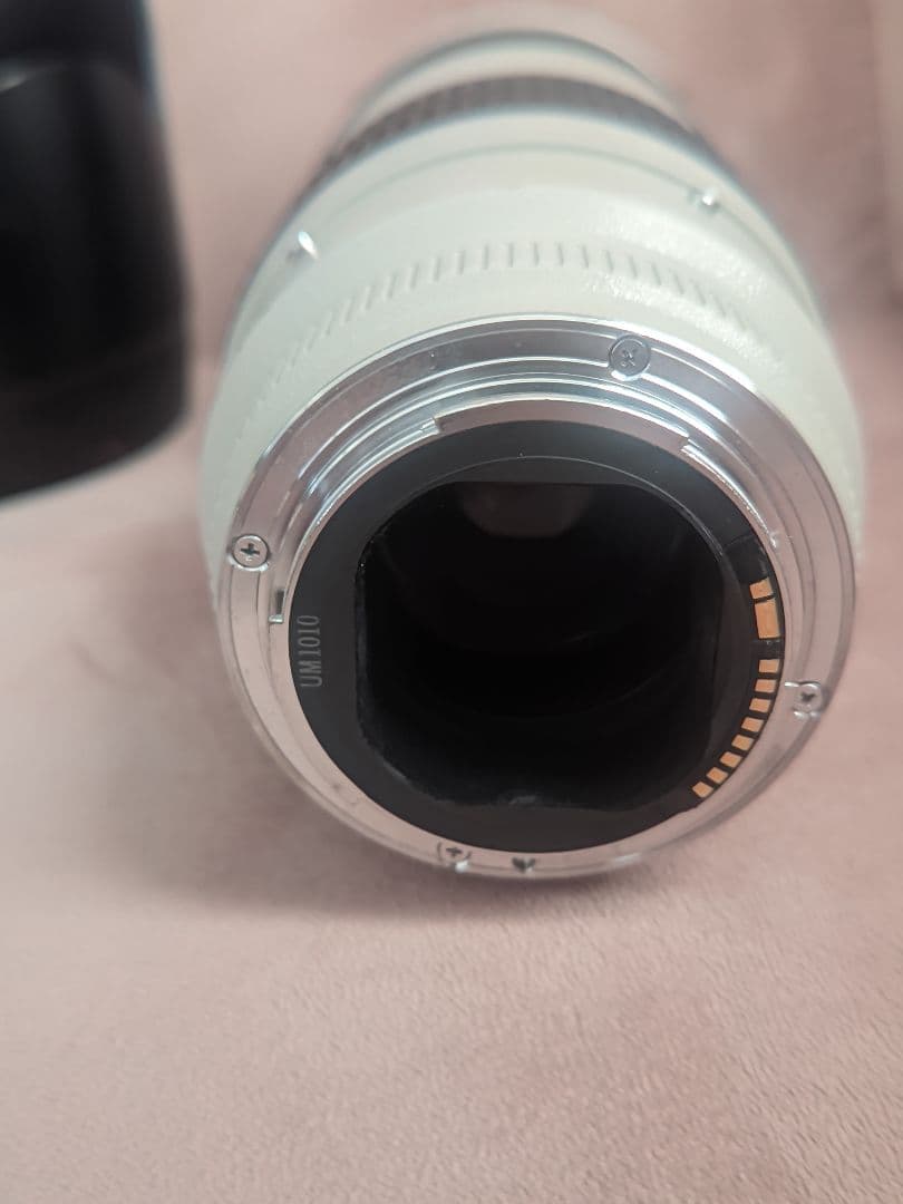 レンズ(ズーム) Canon EF 70-200mm f/2.8L USM