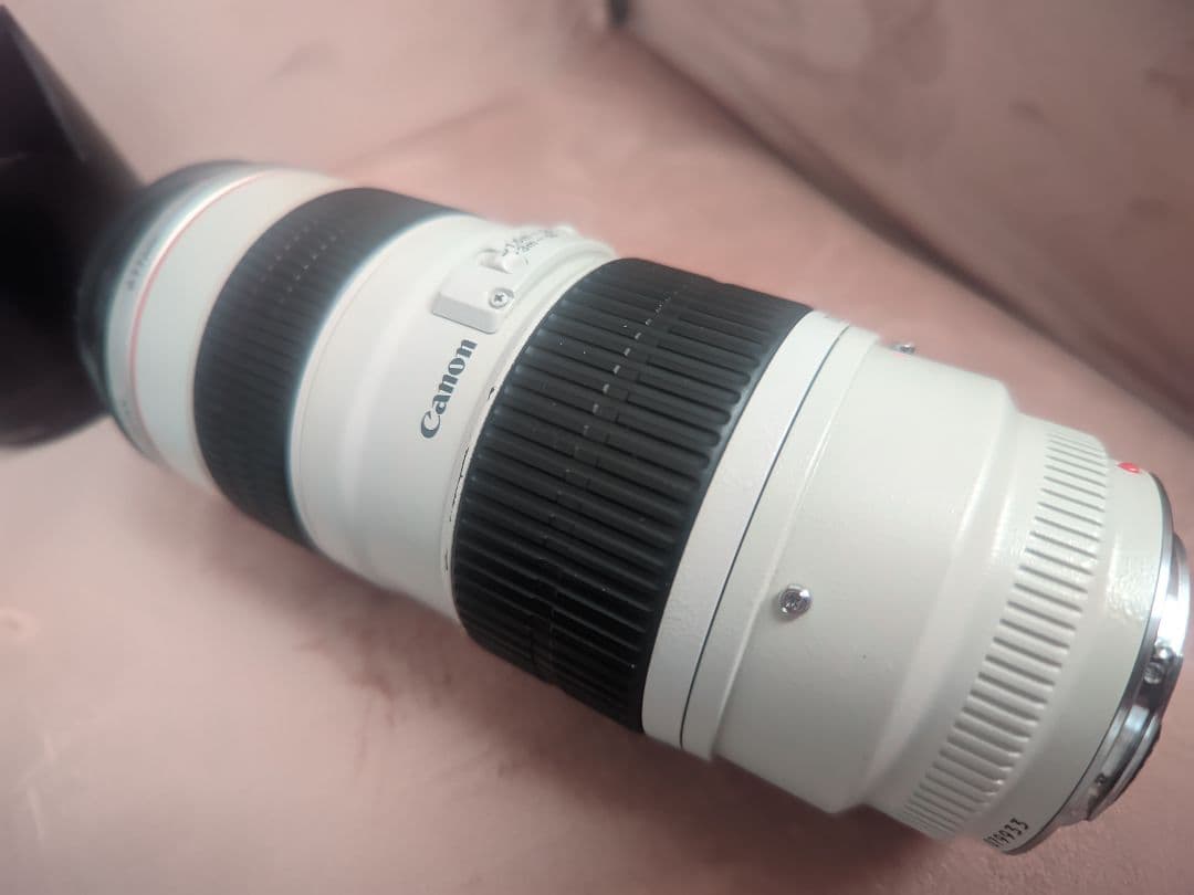 レンズ(ズーム) Canon EF 70-200mm f/2.8L USM