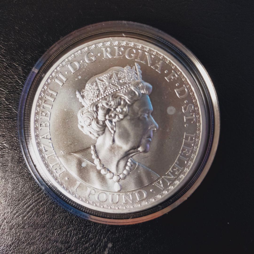 ウナとライオン 2022年 イギリス 1ポンド 銀貨 - メルカリ