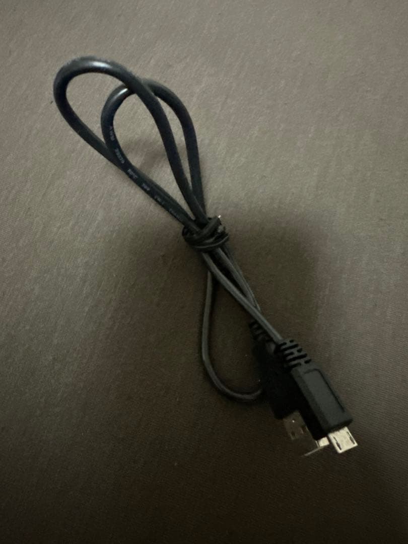 SONY ワイヤレススピーカー ブルー SONY SRS-XB12(L)