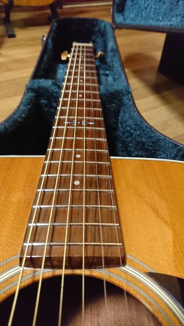 矢入 ヤイリ yairi RAY-601 - ギター低 価格