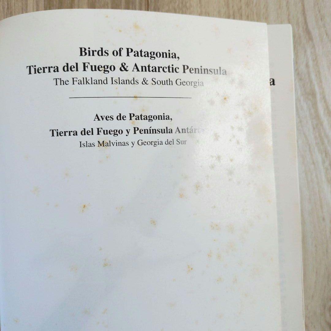 パタゴニア ティエラ・デル・フエゴ 南極半島の鳥 鳥類の写真ガイド